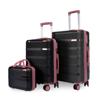 Ensemble de bagages personnalisés de haute qualité deux 14 20 pouces valise grise sacs de maquillage noirs concepteur de luxe classique 4 roues étanche