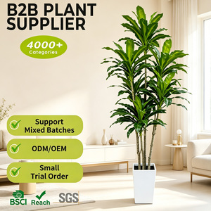 Dracena Artificial de Gran Tamaño, 210 cm, en Maceta Cúbica Blanca Moderna, Árbol de Maíz Artificial Resistente al Agua y Ecológico para Vestíbulo de Hotel - Product Image 1