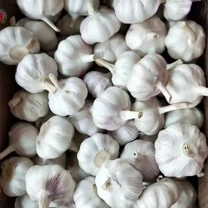 Venta al por mayor de ajo blanco orgánico de China, precio de fábrica, pelado, exportación, ajo al vapor y procesado BQF - Product Image 2