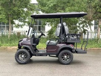 Véhicule de golf utilitaire modulaire 2/4/6/8 places au lithium, vente en gros d'usine