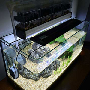 Lampe pour aquarium, éclairage d'aquarium à spectre complet pour coraux et <span class=keywords><strong>eau</strong></span> <span class=keywords><strong>de</strong></span> <span class=keywords><strong>mer</strong></span>, éclairage paysager à clipser pour plantes aquatiques - Product Image 6