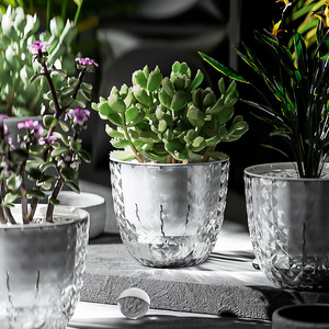 Jardinière hydroponique de haute qualité automatique absorbant l'eau Pot de fleur de personne paresseuse pour jardin de bureau à domicile pour <span class=keywords><strong>le</strong></span> marché international - Product Image 6