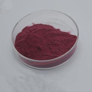 산신 천연 순수 월귤 나무 과일 추출물 25% 프로시안딘 월귤 추출물 분말 - Product Image 2