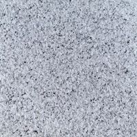 Panneaux de revêtement en granit durable blanc cassé de haute qualité, finition sablée, modèle G303 pour murs extérieurs de villa - Ultra-bas prix