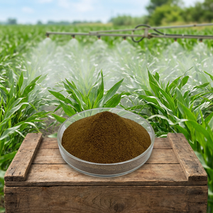 Nouvelle Formule SAT666 <span class=keywords><strong>Engrais</strong></span> Organique à Base d'Acides Aminés d'Algues Marines <span class=keywords><strong>Engrais</strong></span> Organique pour l'Agriculture Hydroponie <span class=keywords><strong>Culture</strong></span> Sans Sol - Product Image 4