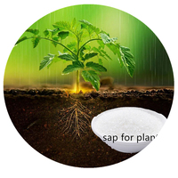 Agent de rétention d'eau et de conservation des sols en polymère agricole super absorbant