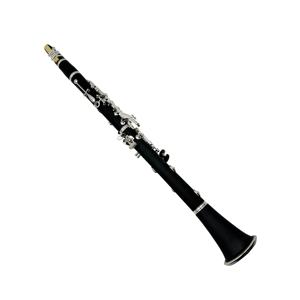 <span class=keywords><strong>Clarinete</strong></span> Plateado de 17 Llaves Seasound de Fábrica OEM JYCL301S, Instrumento Musical Económico de Alta Calidad - Product Image 2