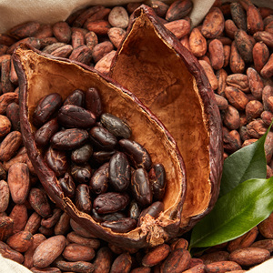 Muestra Gratuita de <span class=keywords><strong>Cacao</strong></span> en Polvo Puro y Natural, 10-12% de Grasa, <span class=keywords><strong>Sin</strong></span> Azúcar, <span class=keywords><strong>Cacao</strong></span> Crudo para Chocolate Caliente, Smoothies, Repostería y Alimentos Saludables - Product Image 4