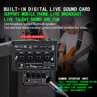 Guitare portable rechargeable pour l'extérieur de 8 pouces Haut-parleur de diffusion en direct Instrument de karaoké de fête mobile avec Line Array