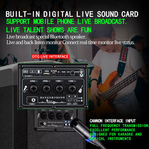 ลำโพงกลางแจ้ง8นิ้วแบบพกพาชาร์จไฟได้สำหรับงานปาร์ตี้, เครื่องดนตรี<span class=keywords><strong>คาราโอเกะ</strong></span>แบบมีสาย - Product Image 5