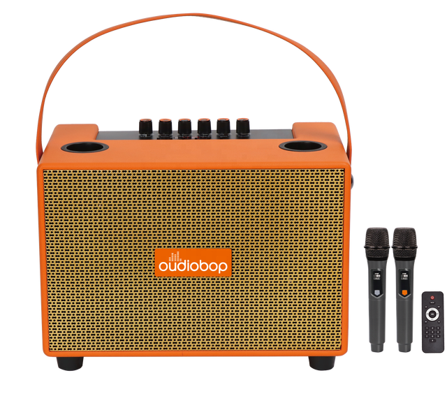 Portable PU Leather Bt Party Karaoke Speaker 6.5 Inch Woofer Bt USB TF AUX Mic Input Retro Home Outdoor Singing Audio Speaker