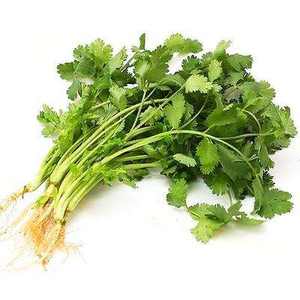 Poudre de coriandre, poudre déshydratée naturelle, ingrédient pour la pâtisserie et l'assaisonnement - Product Image 2