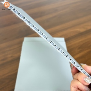Panneau alvéolaire en polypropylène (UPE) – Plaque plastique ondulée 3mm/5mm, ignifuge, recyclable, personnalisable, <span class=keywords><strong>d</strong></span>écoupe et soudure - Product Image 2