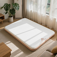 Matelas Gonflable 2 Places avec Pompe PVC Pliable Ultraléger pour Camping