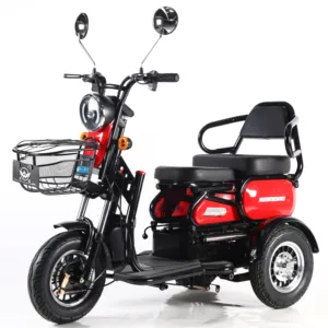 electric tricycle 500W 48Vchina tianjin tricycle factory export custom 3 gear variable speed passenger electric tricycle for adu