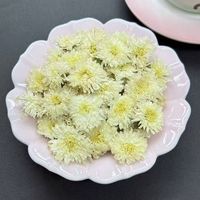 Extrait de chrysanthème blanc du Gansu, flavone soluble dans l'eau, extrait végétal en vrac, matière première de qualité alimentaire pour les soins de santé, fourni par l'usine