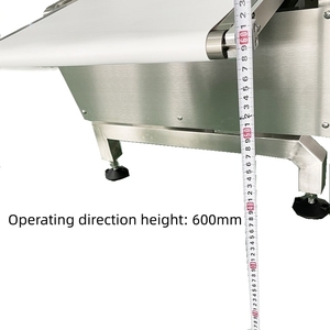 Báscula de control de peso de alta dinámica para sistemas de pesaje en línea de alimentos envasados - Product Image 1