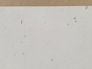 DECHITON HC-681 (Série <span class=keywords><strong>Calcaire</strong></span>) Dalle de quartz moderne inorganique blanc neige moucheté pour cuisine/plancher/table/salle à manger/mur - Product Image 4