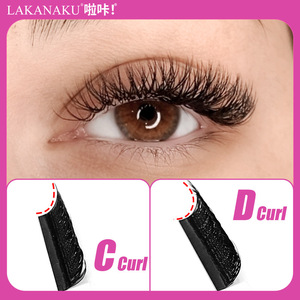 Lakanaku YY ชุดขนตาปลอมชุด4D 3D 6D ต่อแบบแฮนด์เมดเนื้อนุ่มธรรมชาติสำหรับมืออาชีพ - Product Image 5