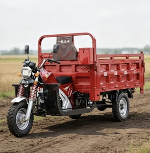 150cc 200cc Hacimli Motorlu, 2 Ton Yük Kapasiteli Kargo Üç Tekerlekli Motosikletler - Product Image 4