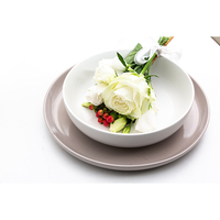 Vente en gros, grès blanc mu, assiettes en céramique personnalisées, ensemble de vaisselle pour restaurant
