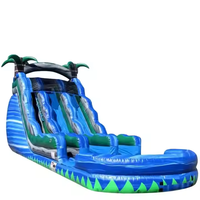 Glissière d'eau gonflable de petit toboggan gonflable de petit prix avec des glissières d'eau de Chambre de rebond pour des parcs aquatiques