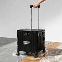 Chariot pliant personnalisé en plastique moulé par injection, écologique, pour cuisine, stockage alimentaire, plage, jardin, dortoir, articles divers, vêtements