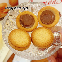 Biscuits au chocolat saveur noisette, biscuits au chocolat ronds, biscuits sandwich au chocolat, sachet de 208g