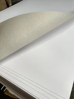 Chine fournisseur vente en gros pas cher 290G rouleau de papier Duplex blanc enduit gris