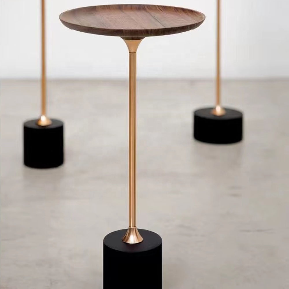 Simple Round Edge Design Carbon Steel lacquered Metal Base wooden Modern coffee table