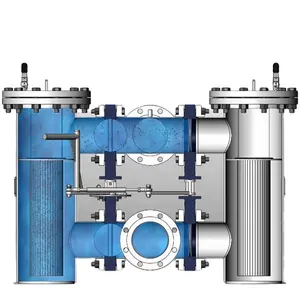 Filtro a cestello duplex personalizzato per filtrazione dell'acqua industriale