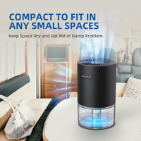 Mini déshumidificateur électrique portable pour la maison et la voiture, réservoir d'eau de 700 ml, technologie de condensation semi-conductrice, rechargeable, écran LED