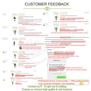 Decoração Home Realista Simulado Grande Pote Do Falso Interior De Plástico Alto Uv Resistente Artificial Planta Bonsai Piso Árvore Ao Ar Livre - Product Image 6