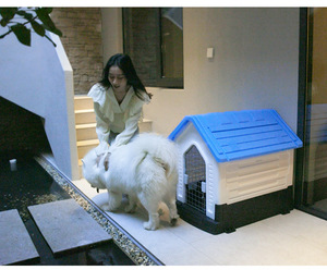 Perrera plegable de plástico para exteriores a prueba de lluvia para perros Four Seasons <span class=keywords><strong>General</strong></span> extraíble lavable jaula para perros de tamaño mediano y grande mascota - Product Image 2