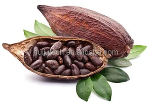 Machine à couper les cabosses de cacao fraîches / briseur de cabosses de cacao / machine à casser les cabosses de cacao - Product Image 5