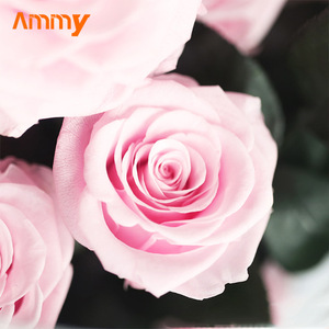 Ammy regali per la festa della mamma in acrilico con fiori rifiniti in <span class=keywords><strong>giardino</strong></span> <span class=keywords><strong>segreto</strong></span> regali di san valentino per scatole regalo moglie per regalo - Product Image 2