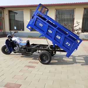 Tricycle cargo électrique 250cc, moteur essence 1000W, carrosserie fermée, véhicule agricole à <span class=keywords><strong>3</strong></span> <span class=keywords><strong>roues</strong></span>, homologué CEE - Product Image 6