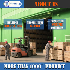 Máquina de Soldar Portátil MMA con Inversor IGBT y Motor de CC de Estilo Europeo FENGLING - Product Image 4