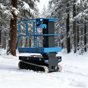 Plateforme élévatrice verticale compacte à chenilles de 200 kg, prix d'usine en Chine, avec certification CE - Product Image 2