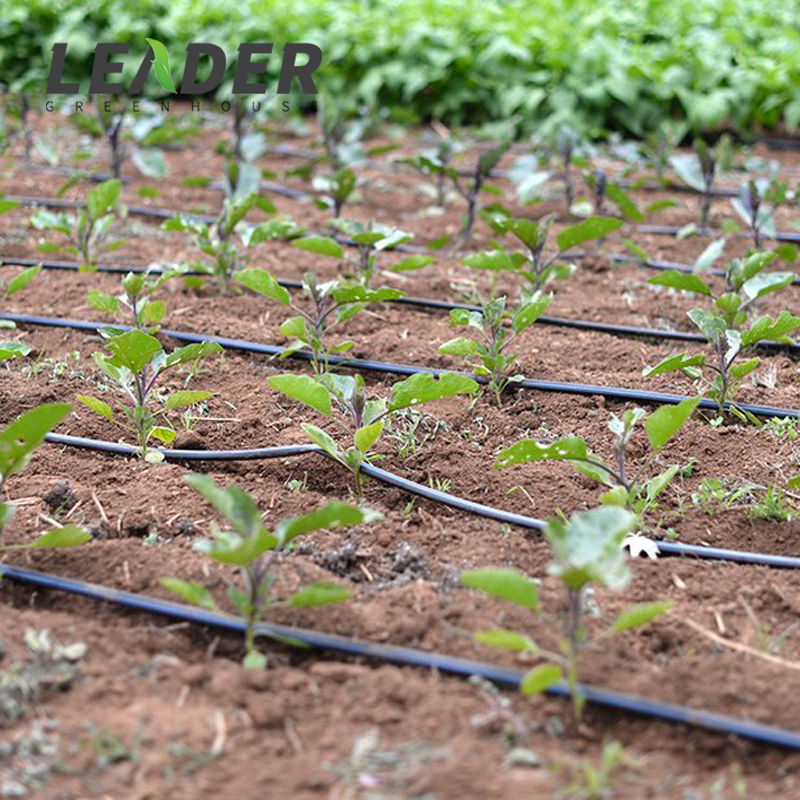 Farming Agricultural Garden Greenhouse Automatic Irrigation
