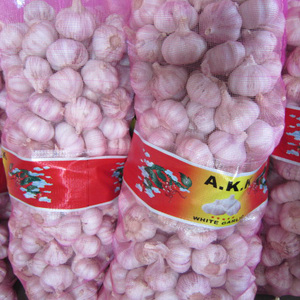 40mm 50mm 70mm <strong>Fresh</strong> <strong>Garlic</strong> From India Allium Sativum Premium Export Quality Bulk Supplier - Product Image 2