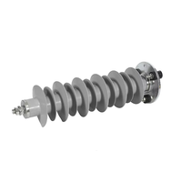 Parafoudre extérieur Shuangfeng 33KV en caoutchouc silicone polymère à oxyde de zinc YH10W-33S14C900 pour la protection contre la foudre