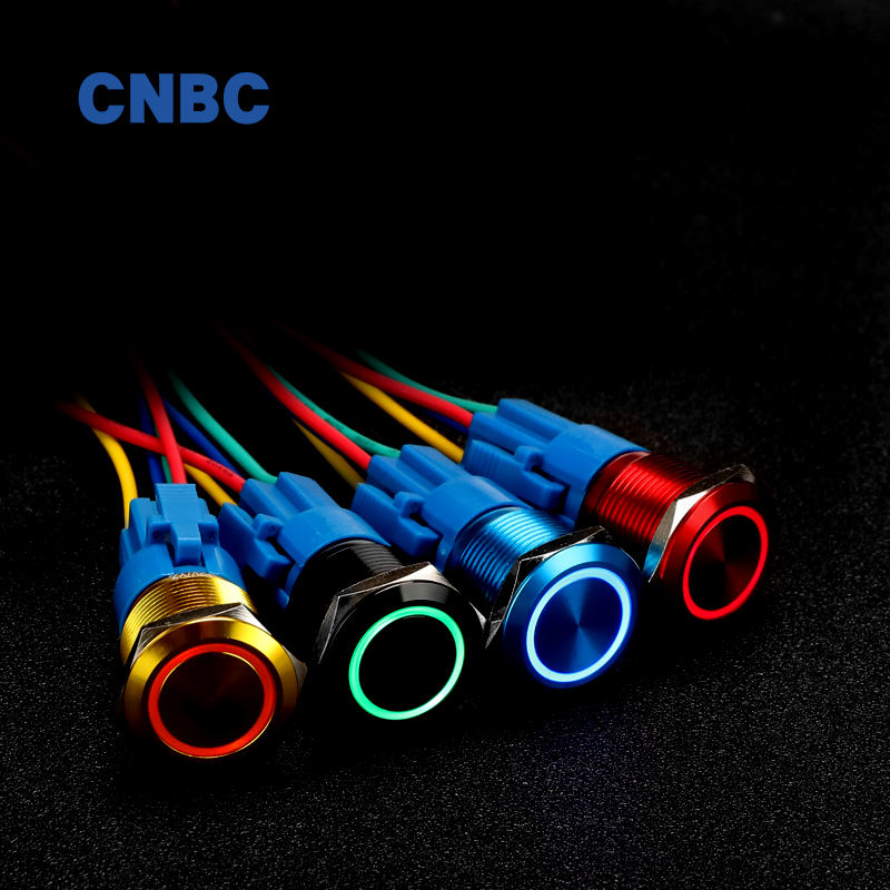 Customized 19mm 5A IP67 Waterproof LED Housing Push Button Switch SPDT 1NO1NC 220V Green Oxidation Black 1NC & 2NO Combination