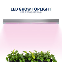 Lampe de culture LED 200W à spectre complet, étanche IP65, en aluminium, avec puce LED COB haute efficacité 200-240 Lm/W pour la croissance des plantes d'intérieur