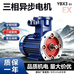 Moteur asynchrone triphasé antidéflagrant YBX3, fil de cuivre horizontal antidéflagrant pour mines de charbon, haute efficacité - Product Image 2