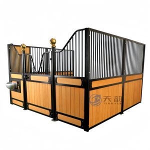 Cadre en acier galvanisé permanent personnalisé de 10 pieds Vente d'écuries de luxe Décalage préfabriqué pour chevaux et kits de grange pour chevaux - Product Image 6