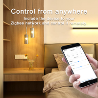 Boîtier numérique intelligent Zigbee Bilihondim, variateur 1 canal 200W 220-240V AC, personnalisable, sans fil, portée 30m, compatible Google Assistant, facile à utiliser