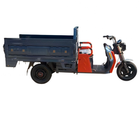 Triciclo de Carga Eléctrico Personalizado de Tres Ruedas con Carrocería Abierta, Motor sin Escobillas, Frenos de Disco Delanteros/Freno de Tambor Trasero, Capacidad de Carga de 100-200 kg, Alcance de 90 km