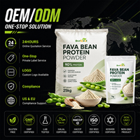 Bubuk Protein Kacang Fava Tingkat Kemurnian 90%, Protein Nabati Non-GMO Asal Eropa, Kemasan Karung 25kg dan Kemasan Sampel 1kg