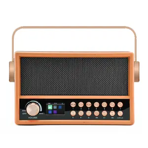 HN-2036DAB German Vintage Antique Retro Pot Style 100 Old School 1970 Heritage Desktop Large Wood Steal Usb DAB Fm Radio